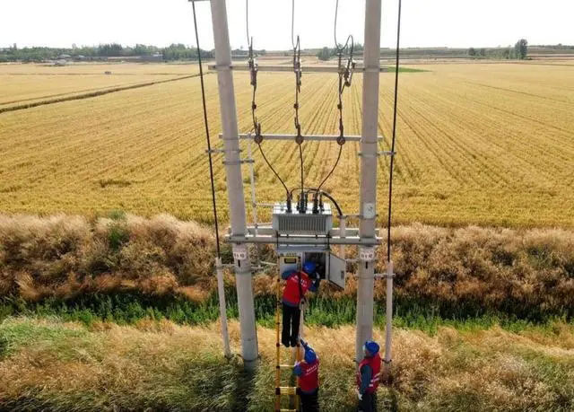 配電箱助力“電力?！报D農(nóng)民有了“電力?！碑a(chǎn)業(yè)發(fā)展質(zhì)效