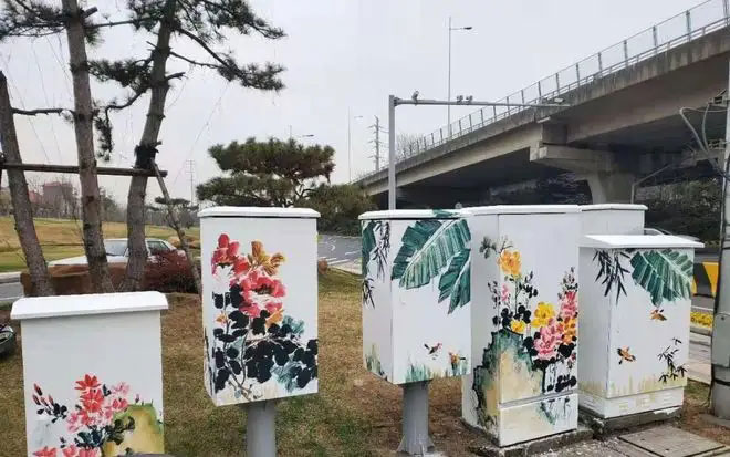 街頭配電箱變身“藝術品”，成為一道靚麗風景線